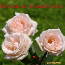 Feliz día de la madre 2012