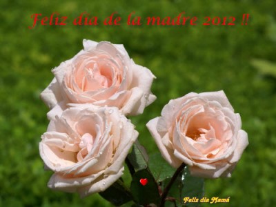 Feliz día de la madre 2012