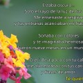 Poema a la Madre con flores multicolores